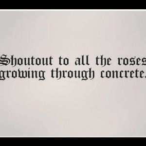 Meet your Posher, Lillian